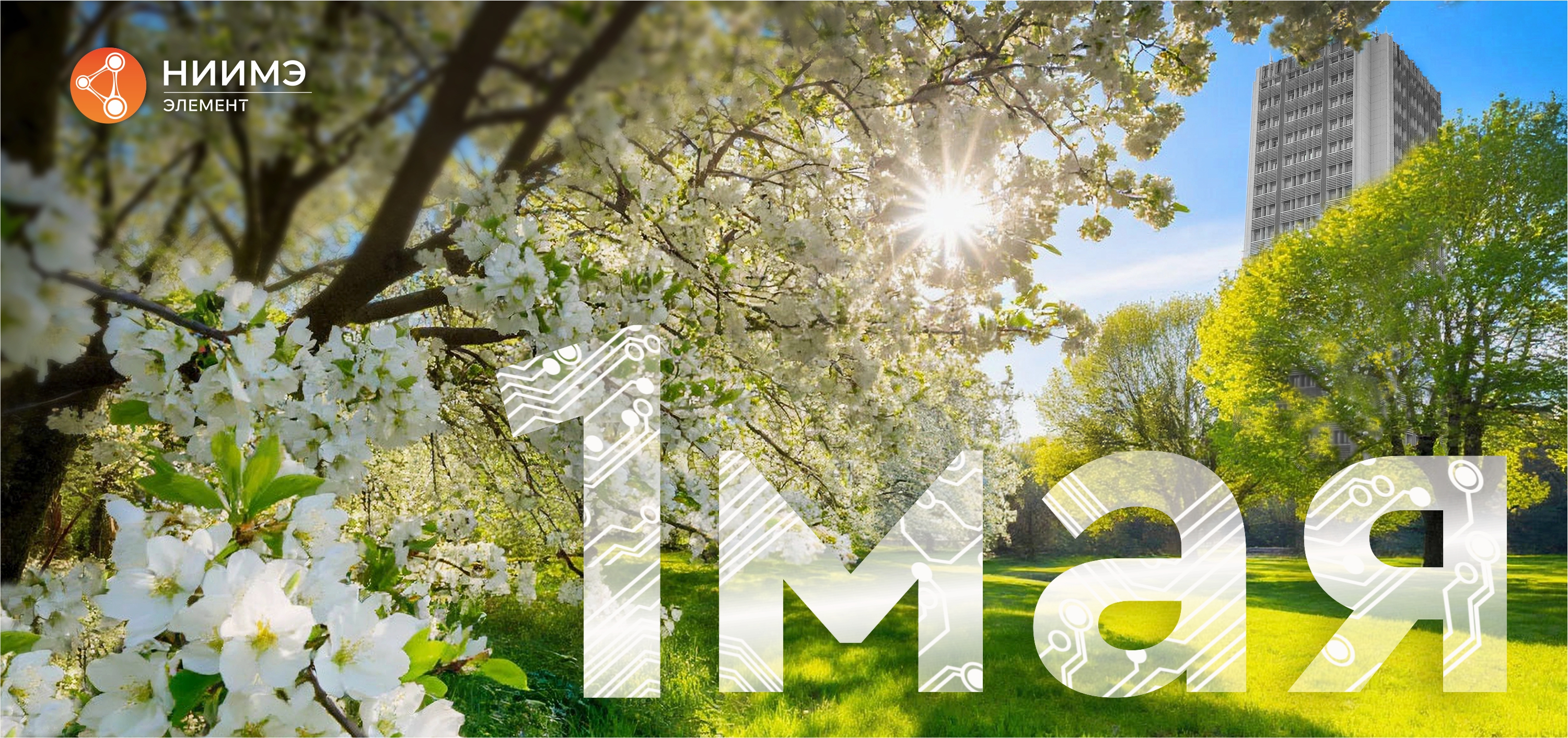 С праздником весны и труда!