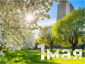 С праздником весны и труда!