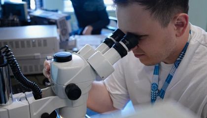 Journal Microelectronics